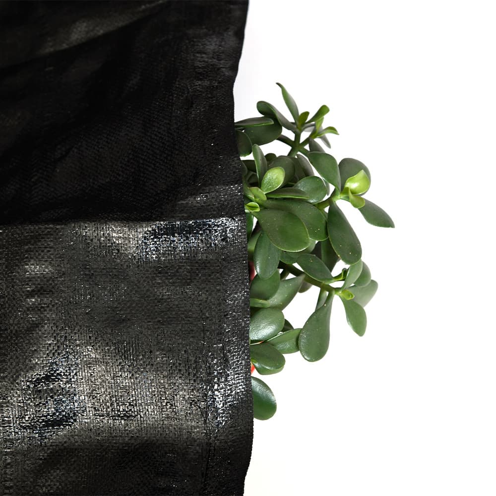 Custom-made agricultural black PE weed control fabric, garden weed control netting, polyethylene plain weave cold-proof weed control cloth.