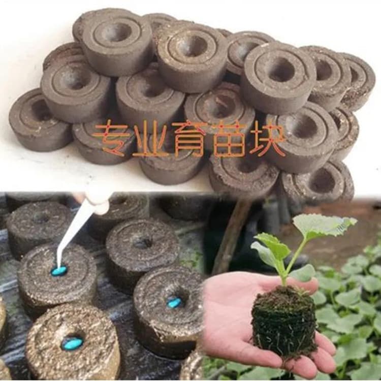 General Peat Soil Seedling Block Organic Nutrient Soil Compressed Seedling Soil Peat Block for Planting Agricultural Bulk Users