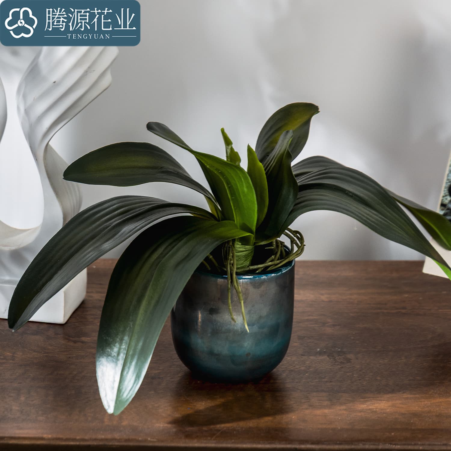 Wholesale Phalaenopsis Leaves, Same Style Phalaenopsis Leaves and Flowers for Photography, Home Decoration, Artificial Flowers, and Decorative Ornaments