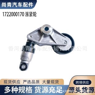 1722000170 Tensioner Pulley for SsangYong Korando C