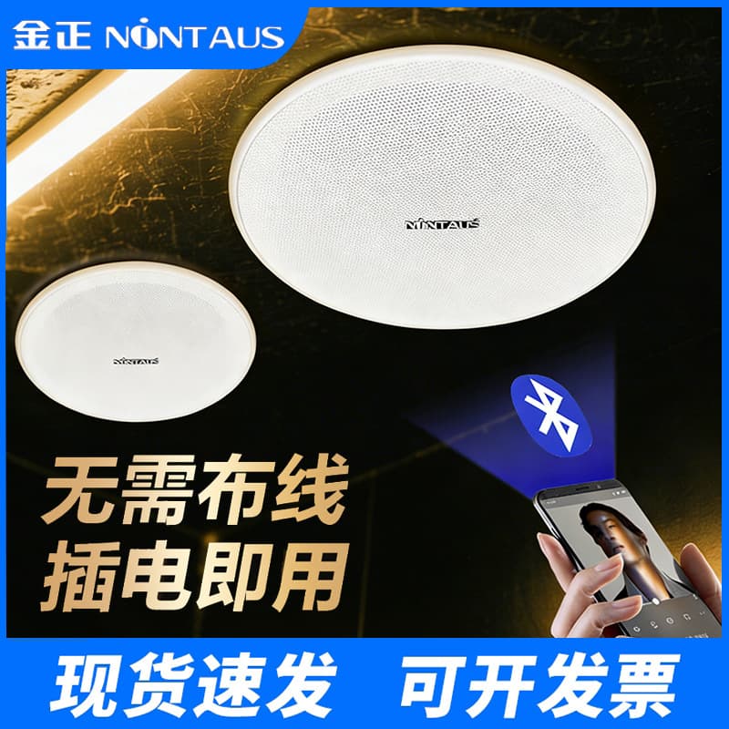 Jinzheng Wireless Bluetooth Ceiling Speaker, Embedded Horn for Stores, Restaurants, Commercial Use