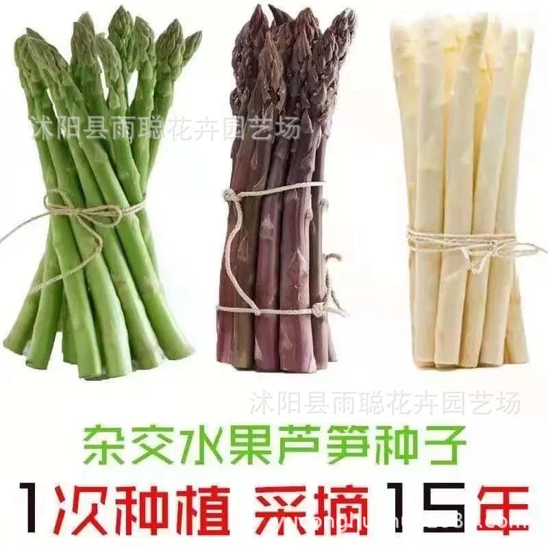 Asparagus seeds are vegetables grown in all seasons. Imported green asparagus seeds are heat-resistant, cold-resistant and highly nutritious vegetable seeds.