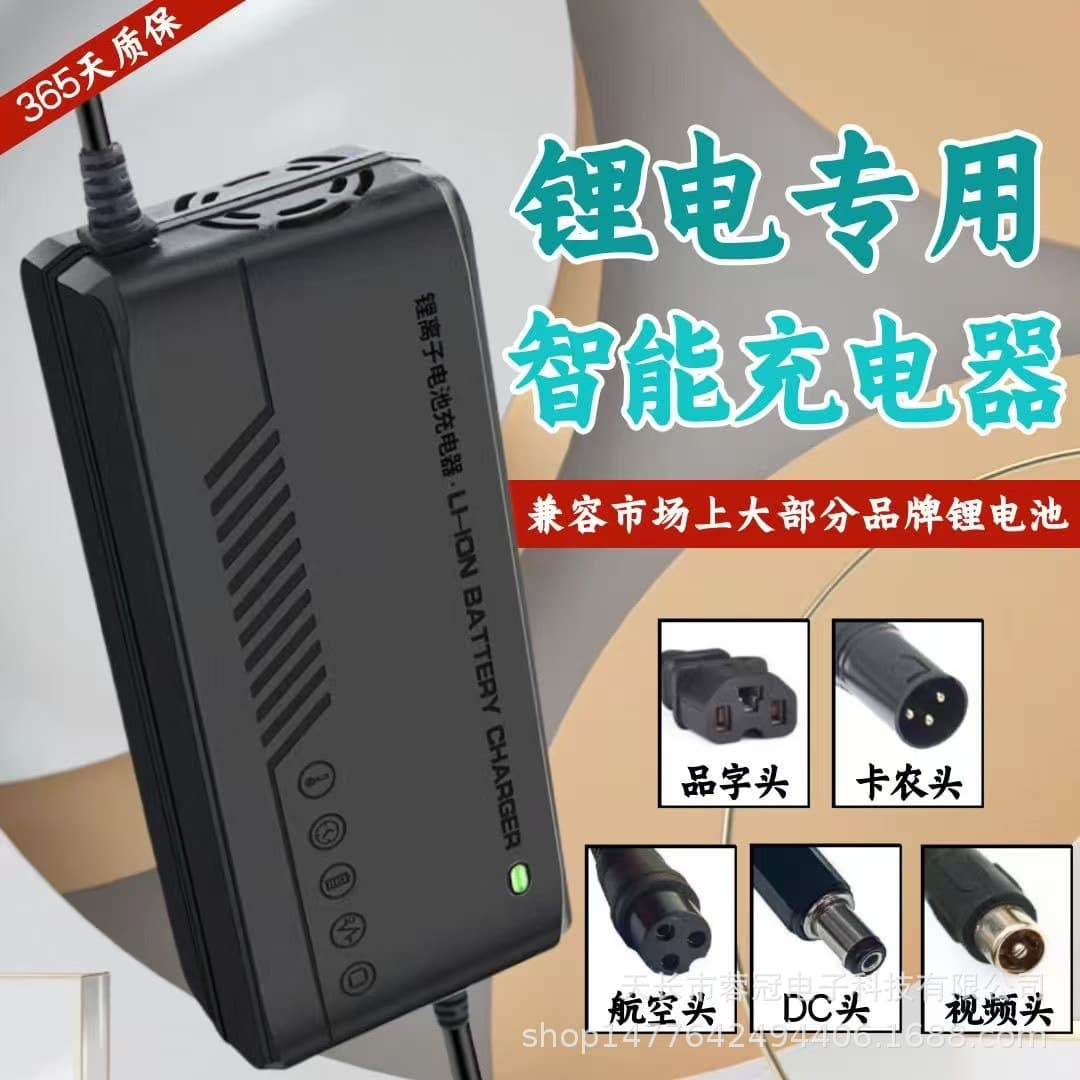 Lithium battery electric vehicle charger 48V36V60V24V72V54.6V2A electric vehicle lithium ion Harley balance vehicle