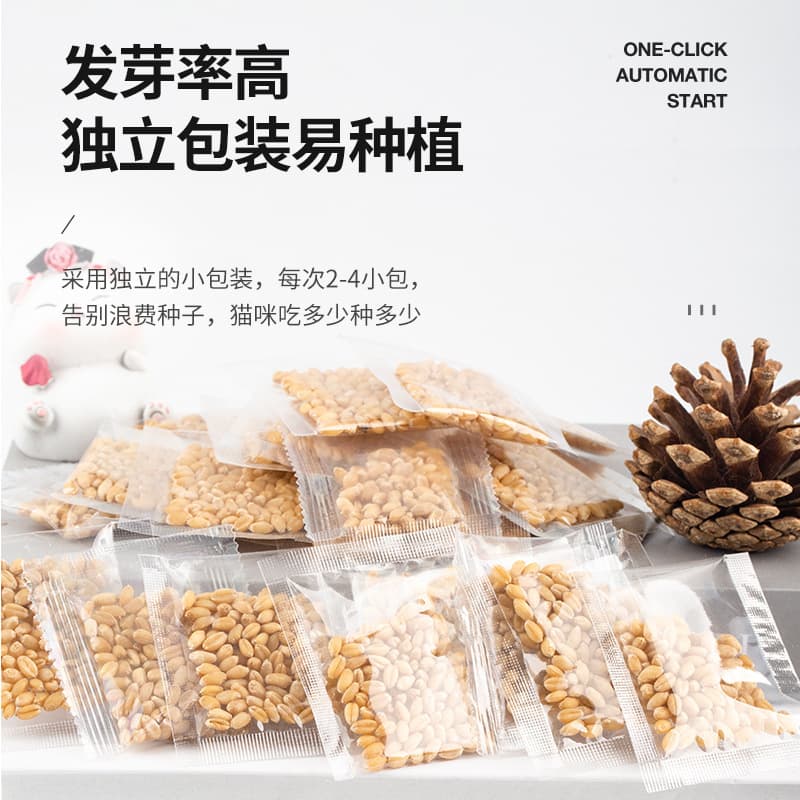 Cat Grass Seeds Wheatgrass Seeds for Hydroponic and Soil Cultivation Hairball Control Catnip Cat Treats