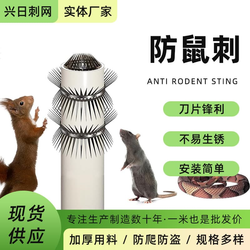 Customized anti-snake pipeline guardrail, anti-cat and anti-rodent spike steel head, complete set of anti-climb spikes, bird deterrent