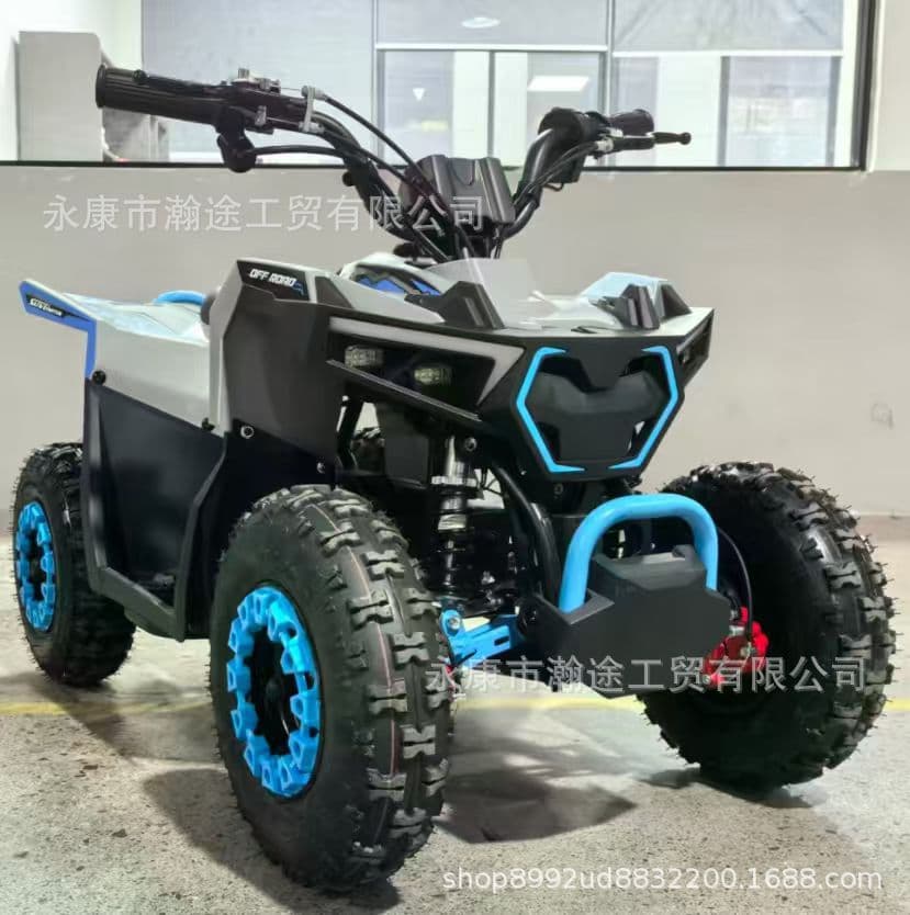 Factory Produced 49CC Kids Beach Buggy 36V 800W 12AH Electric Kids Off-Road Beach Buggy All-Terrain Vehicle