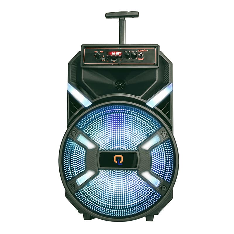 Hot-Selling Export 12-Inch 20W Bluetooth Speaker, Wireless and Stable, for Karaoke Entertainment, with Dual Microphones