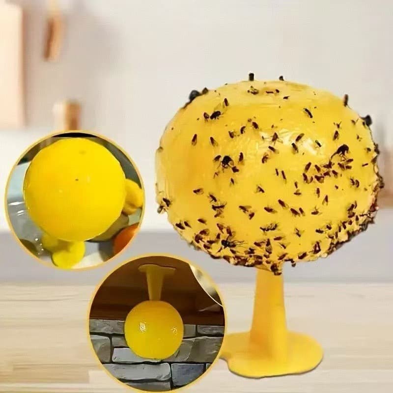 Household fly traps, fruit fly traps, small flying insect traps, kitchen sticky insect balls, fruit and vegetable fly traps.