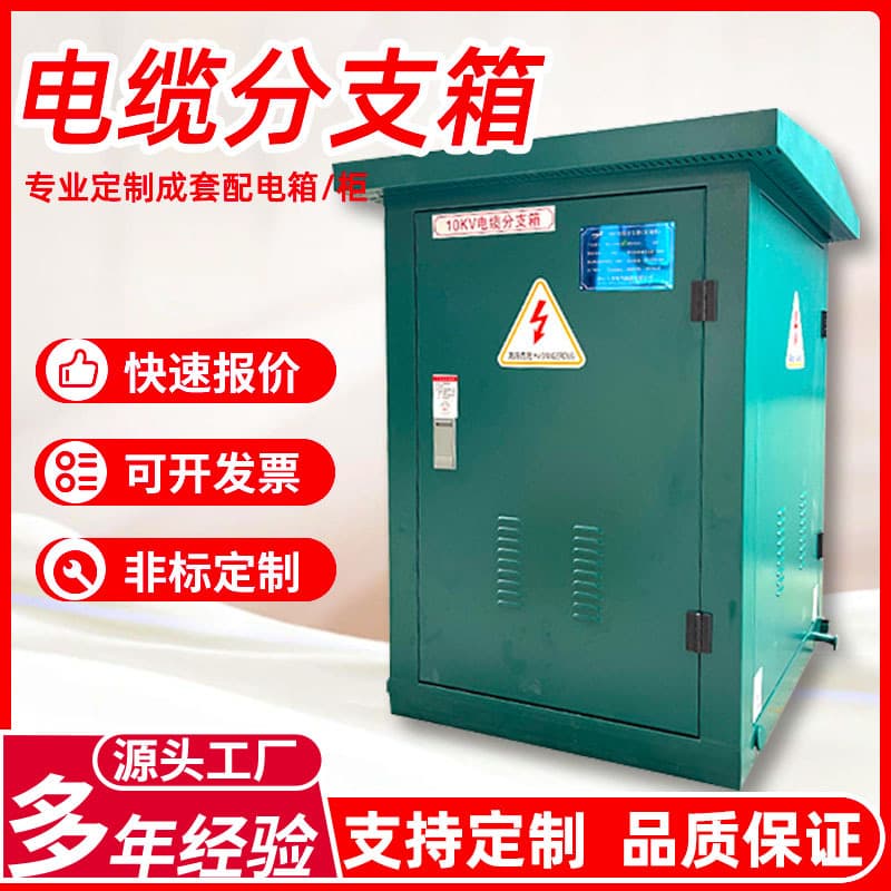 10KV High-Voltage Cable Branch Box DWF-20/630 One Input Two Three Four Output Outdoor European-Style Stainless Steel Tapping Box