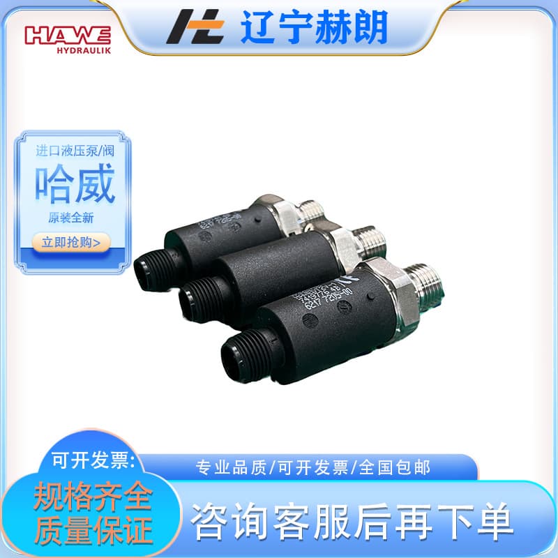 Genuine new HAWE DT 2-4 pressure relay from Germany, imported brand relay, oil pump accessory