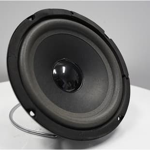 TYR-0604-0063 6.5 Inch 80 Magnet 19 Core Foam Edge Outdoor Speaker Driver
