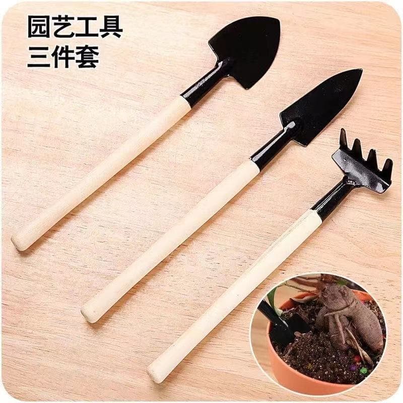 Gardening Mini Tool 3-Piece Set: Garden Tools Set with Small Trowel/Rake/Shovel for Succulent Planting
