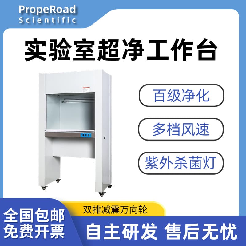 Efficient Class 100 Purification Bench with Stainless Steel Laboratory Grade Construction
