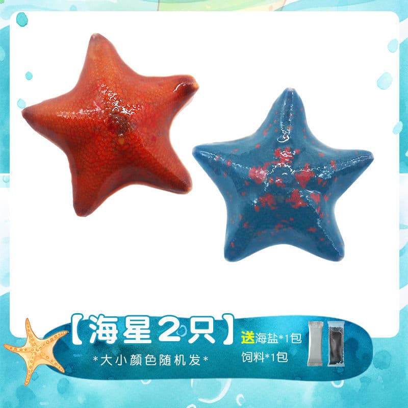 Pet Sea Swallow Sea Star Saltwater Live Ornamental Sea Star Aquarium Pet Sand Sifting Marine Organism Patrick Star