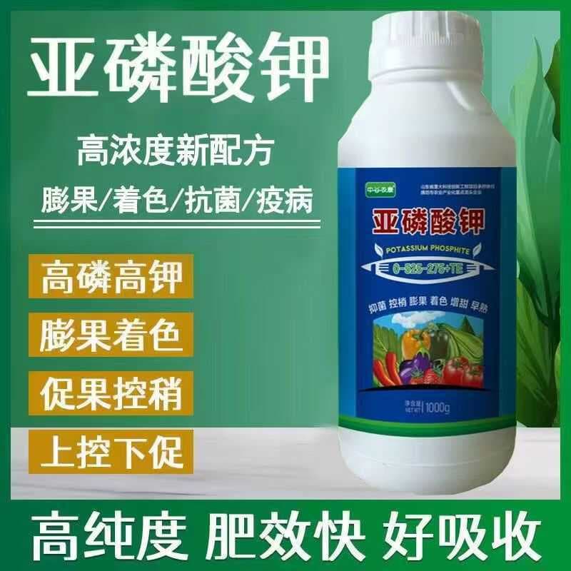 Potassium phosphite foliar fertilizer for plant growth control, high phosphorus-potassium agricultural use, promotes flower and fruit retention, controls shoot growth in citrus, disease resistance, and fruit enlargement, water-soluble.