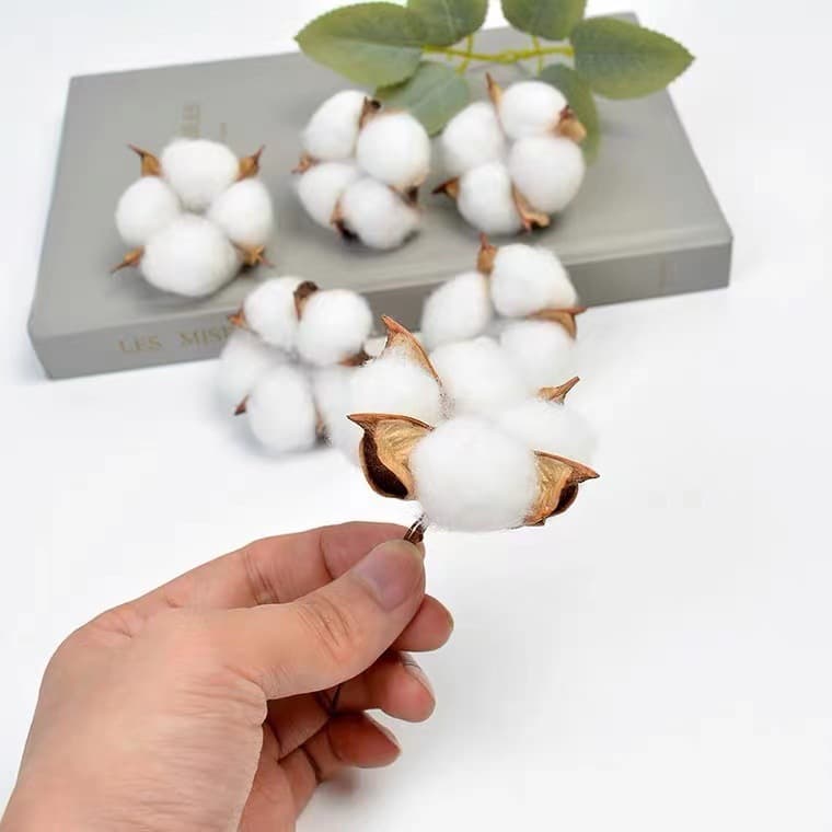 Natural Cotton Head Dried Flower Bouquet Decoration Materials Photo Prop Accessories DIY Handmade Wreath Material Cotton