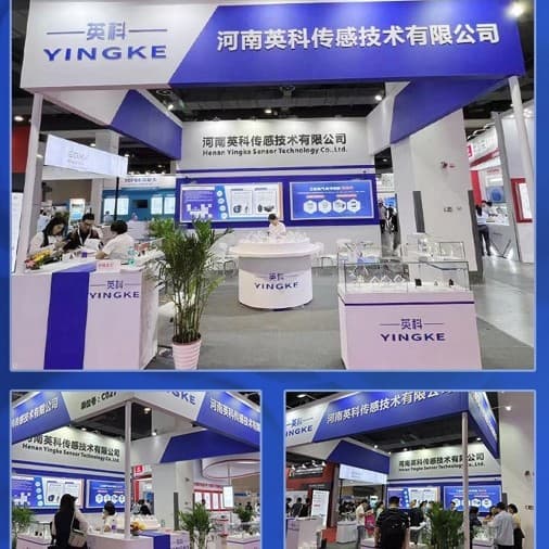 Yingke Gas Sensor