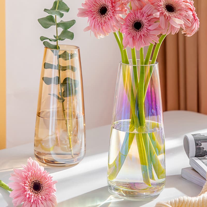 European-style Glass Vase Transparent Living Room Flower Arrangement Desktop Decoration Creative Vessel