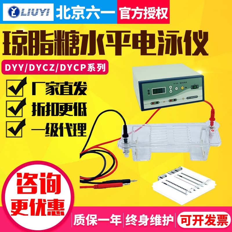Beijing Liuyi Electrophoresis Systems DYY-6C/DYCP-31DN/DYCZ-24DN for Agarose Horizontal and Vertical Electrophoresis Tanks