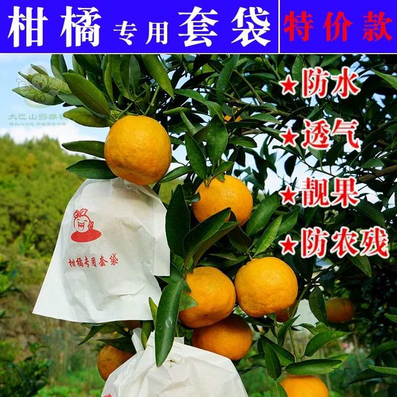 Citrus bags, orange, ugly orange, Pappa citrus, Chun Jian, Ai Yuan paper bags, disease and water insect prevention, 25 new styles wholesale.