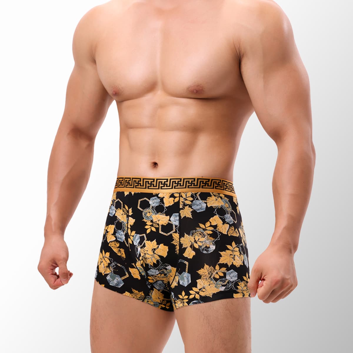 Men's Plus Size Nylon Boxer Briefs Sexy Thin Trendy Youth Print Men's Boxer Briefs Cross-Border Wholesale