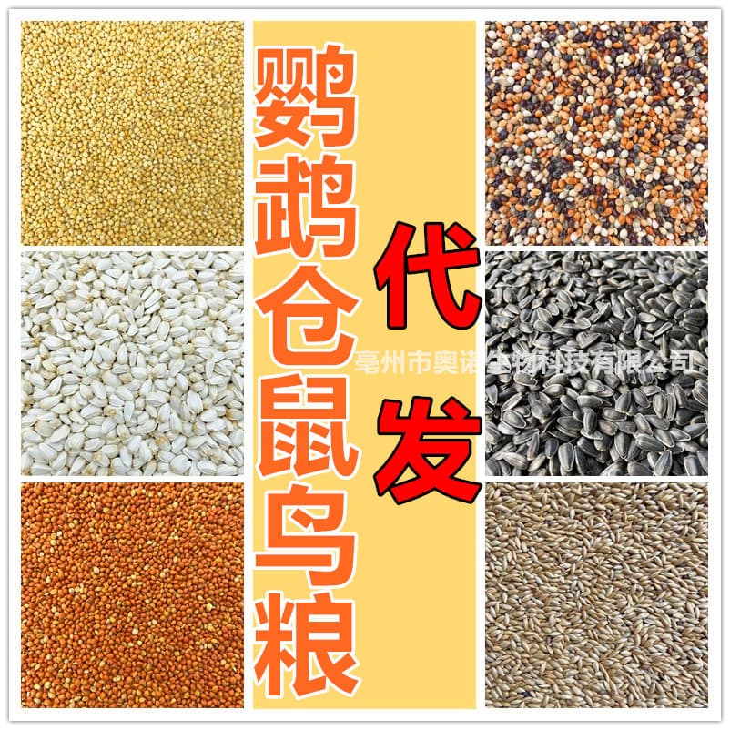 Parrot Bird Food, Bird Feed, Pigeon Feed, Hamster Food - Drop Shipping Agent, Pet Food