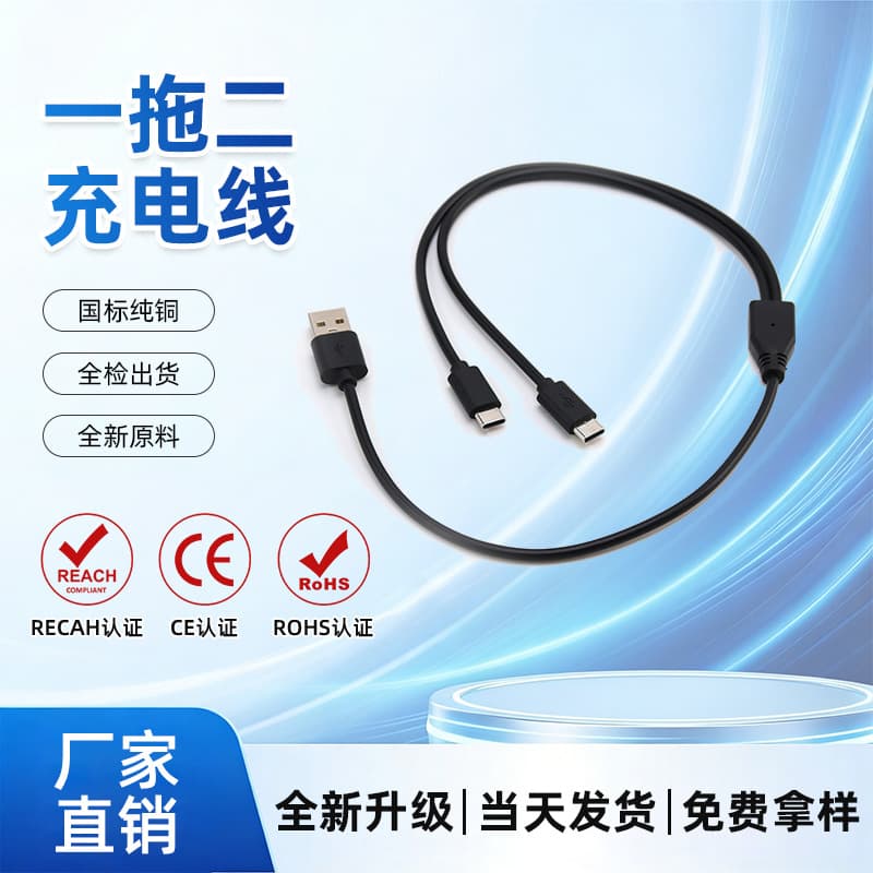 Type-C 2-in-1 Data Cable Compatible with Apple and Android Phones, 1m, USB Power Charging Cable