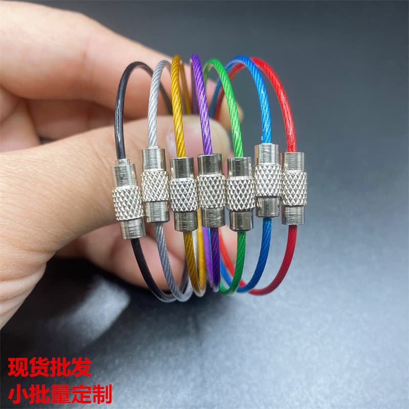 In Stock Steel Wire Rope Keychain Stainless Steel Color Coated Wire Loop Plastic Coated Steel Lock Buckle Large Quantity Negotiable