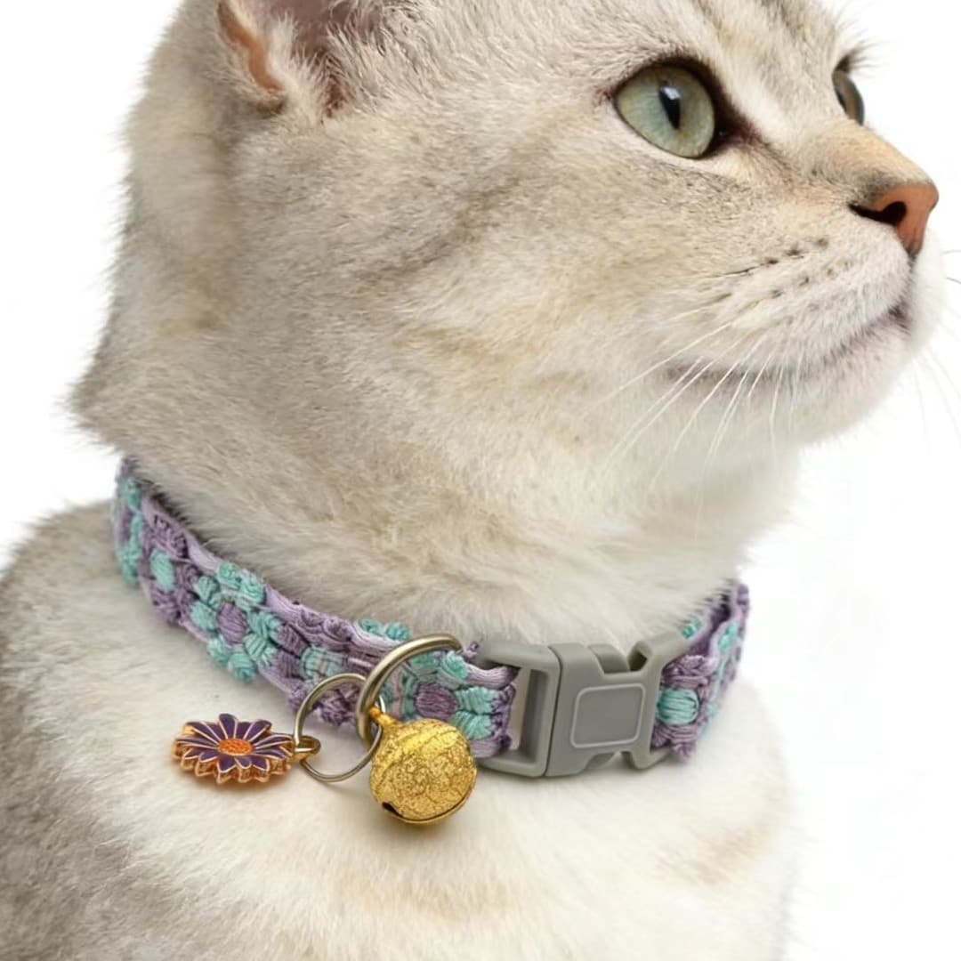 Cross-border pet supplies wholesale factory direct sales, INS style colorful lace flower collars and bells for cats and dogs