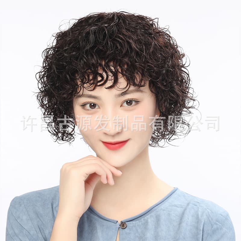 Wig Short Hair for Women Full Head Real Human Hair Full Curly Middle-Aged Wig Real Hair Wholesale