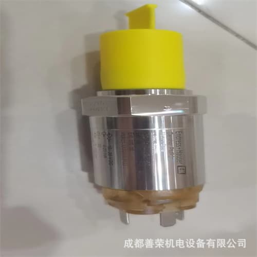 E+H Tuning Fork Level Switch FTL31-11D1/0 Brief Introduction