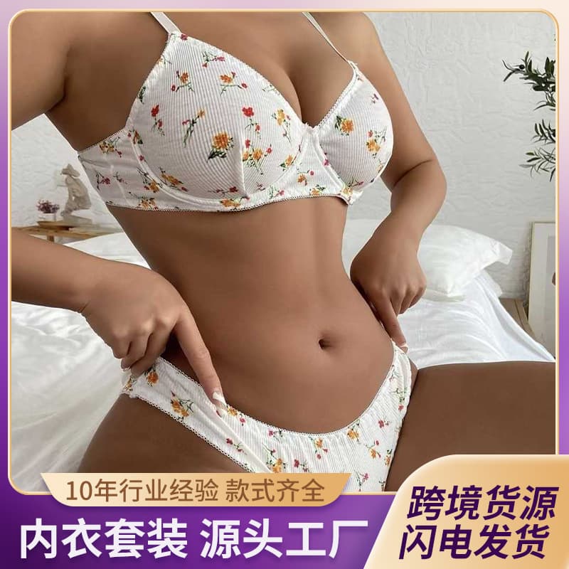 Cross-border Supply Bra Set Printed Underwire Bra French Style Floral Print Bra Custom