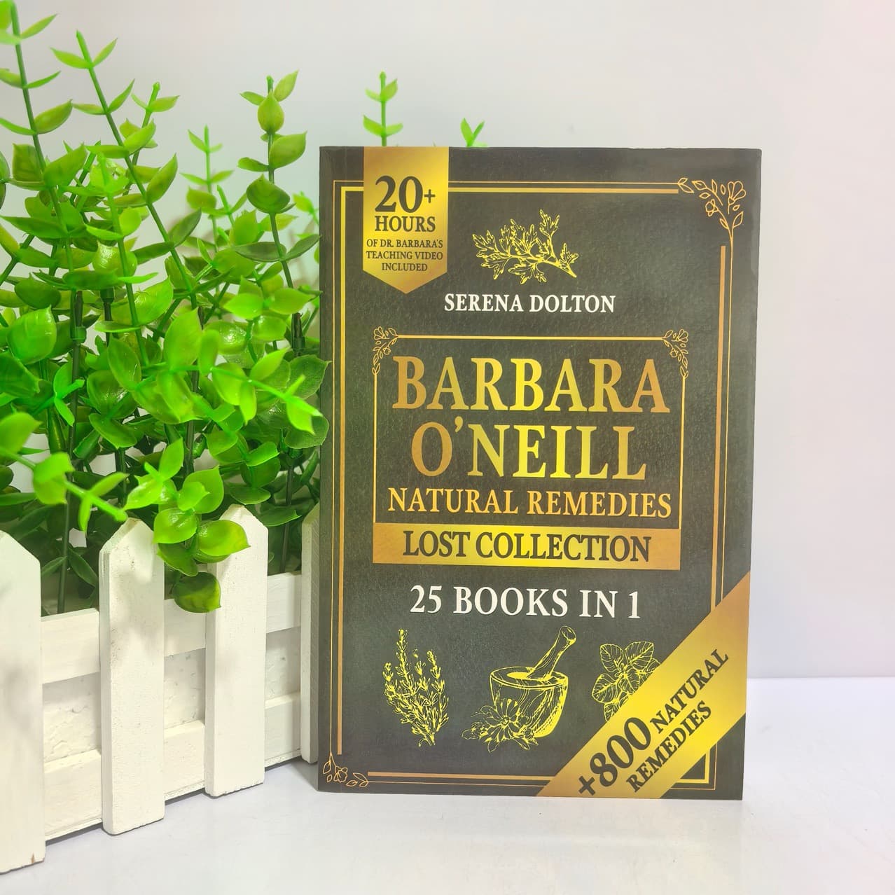 The Lost Book of Herbal Remedies" - English Edition of Chinese Herbal Medicine Treatment and Care Collection