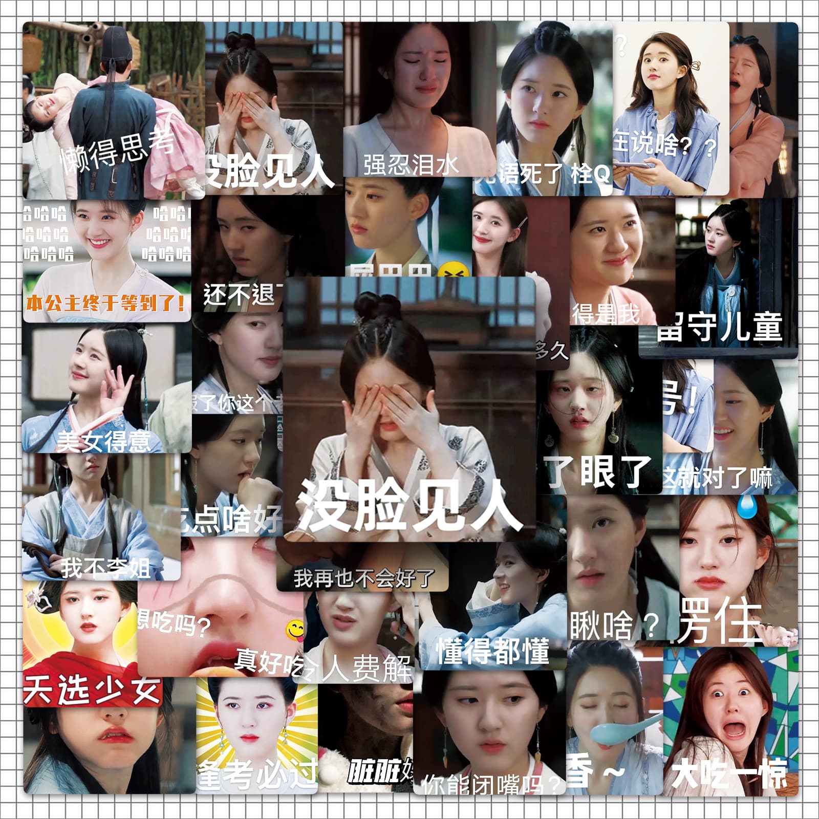 Zhaolu Si Sticker Decals Waterproof Funny Celebrity Actor Actress Phone Case Laptop Sticker Decorative Thermal Cup Sticker