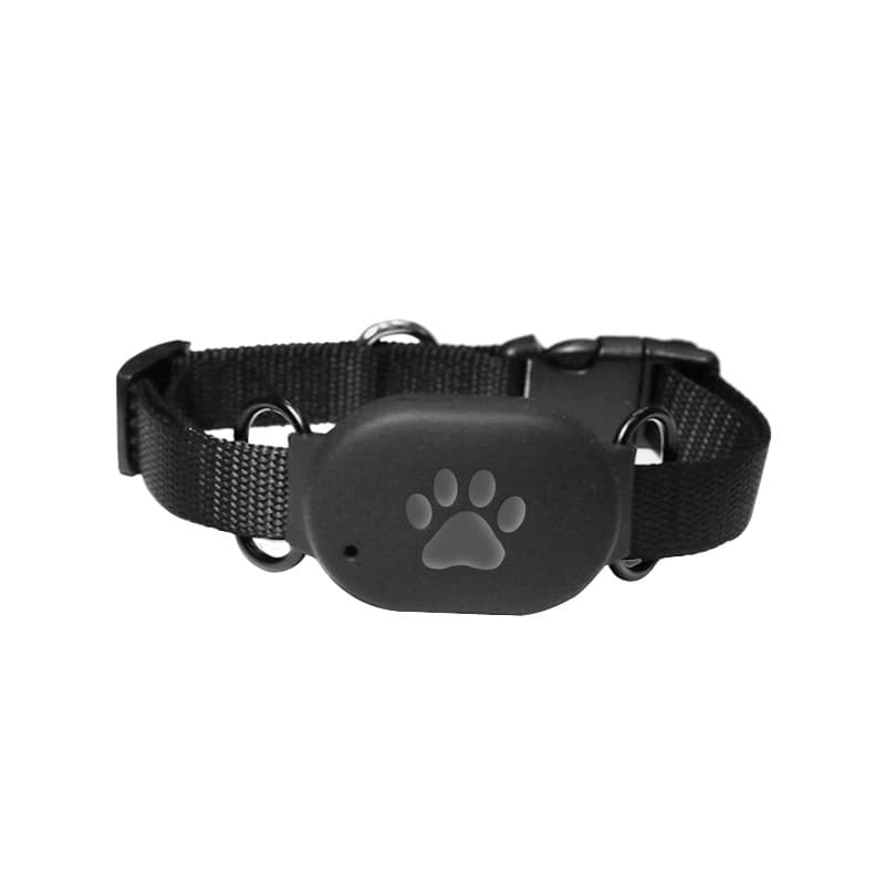 Q60 Export 2G Pet Locator GPS Positioning Collar, Life Waterproof Smart Wearable Anti-Loss Device for Pets