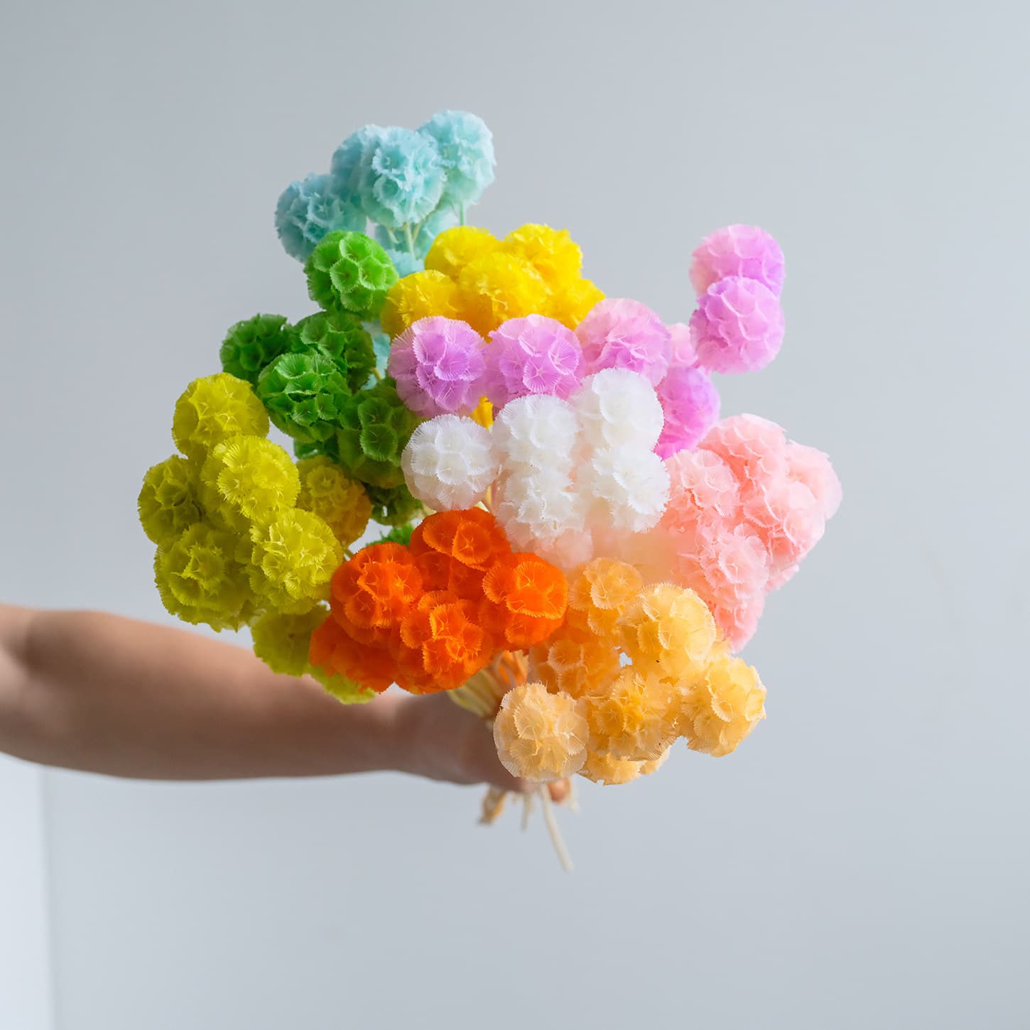 Windmill fruit dried flowers pineworm fruit immortal flowers wholesale immortal windmill fruit ins style fresh and cute fruit dried flowers