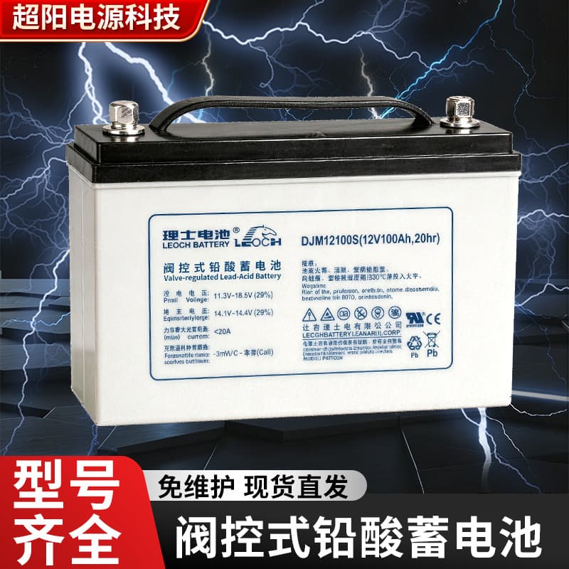 DJM1265S/80/100/120/150/200 Battery 12V Valve-Regulated Maintenance-Free LEOCH Battery