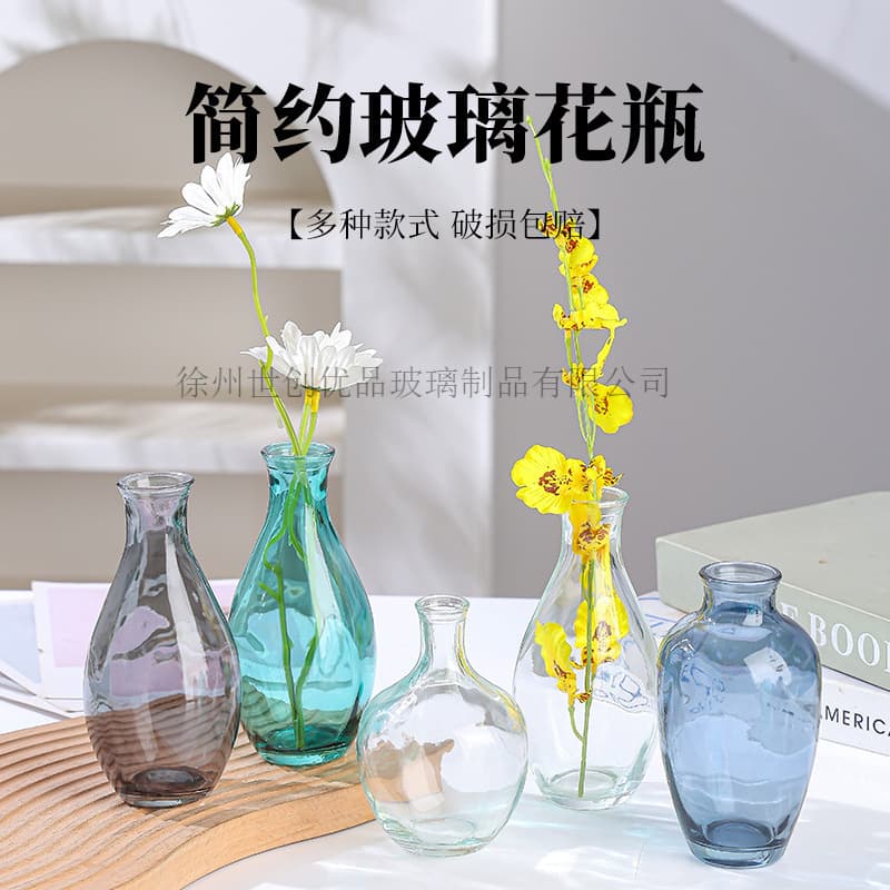 Small glass vase, colorful Nordic light luxury creative home living room ornaments, hydroponic green plants, flower arranging device, transparent