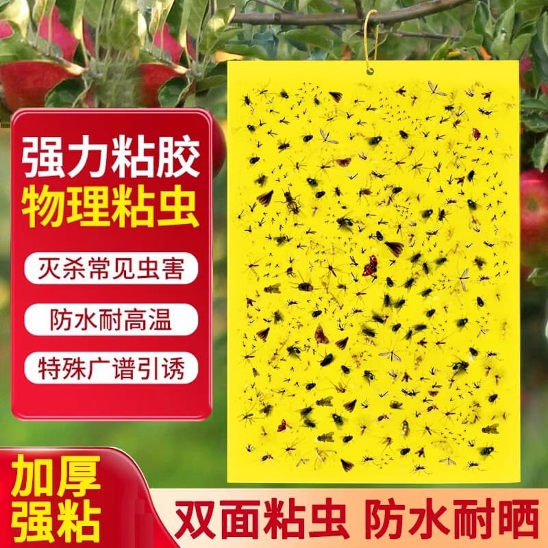 Double-Sided Sticky Bug Trap Sticker for Small Flying Insects, Fruit Fly Catcher, Outdoor Farming Pest Control Mosquito Killer Tool