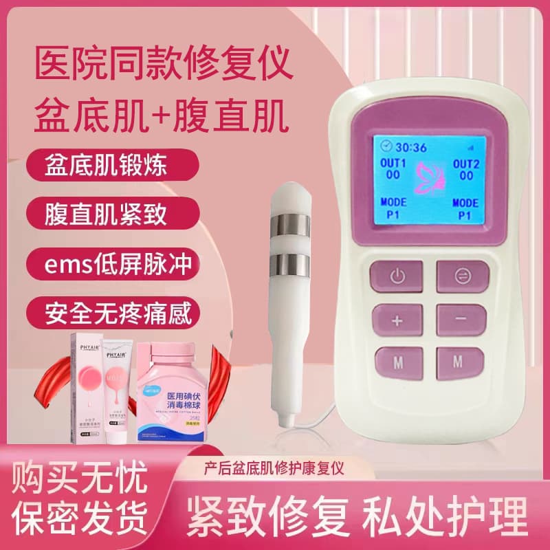 Pelvic Floor and Diastasis Recti Repair Device, At-Home Postpartum Recovery Instrument, Portable Charging for Private Tightening and Care Training