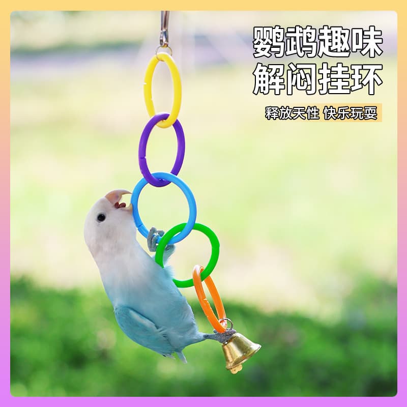 Bird fun colorful toy ring climbing, playing and chewing training climbing bird ring toy