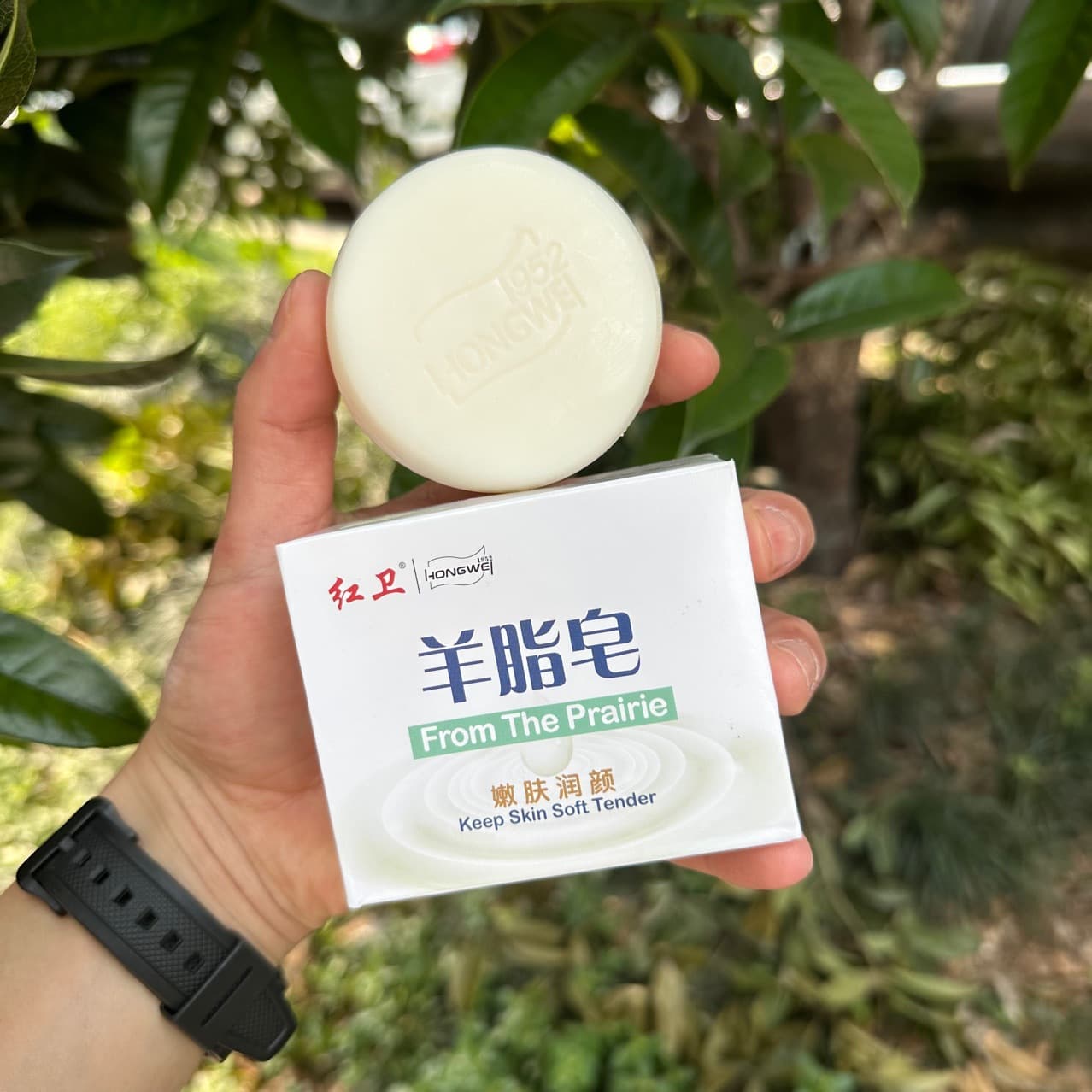 Hongwei Lanolin Soap, a shining example of domestic products, is a gentle, nourishing, and moisturizing facial soap for both men and women. It features fine, delicate foam and provides gentle cleansing and hydration.