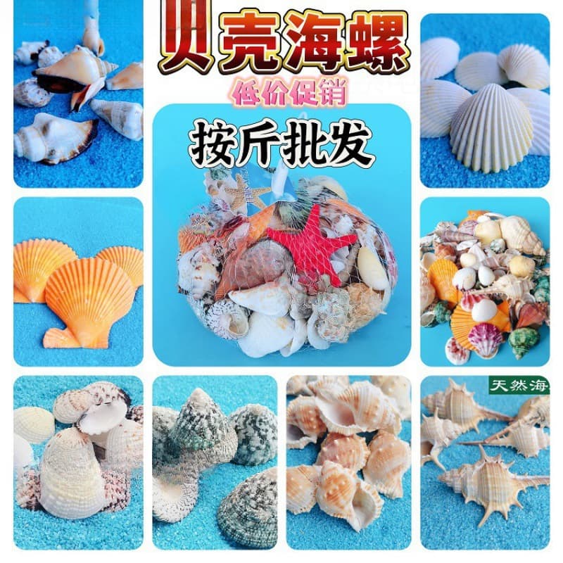 Accessories: Shells, Conch, Aquarium, One Jin Drift Bottle, Shell Shadow Micro Landscape, Star Small Hairy, Home Bottle, Fish Tank