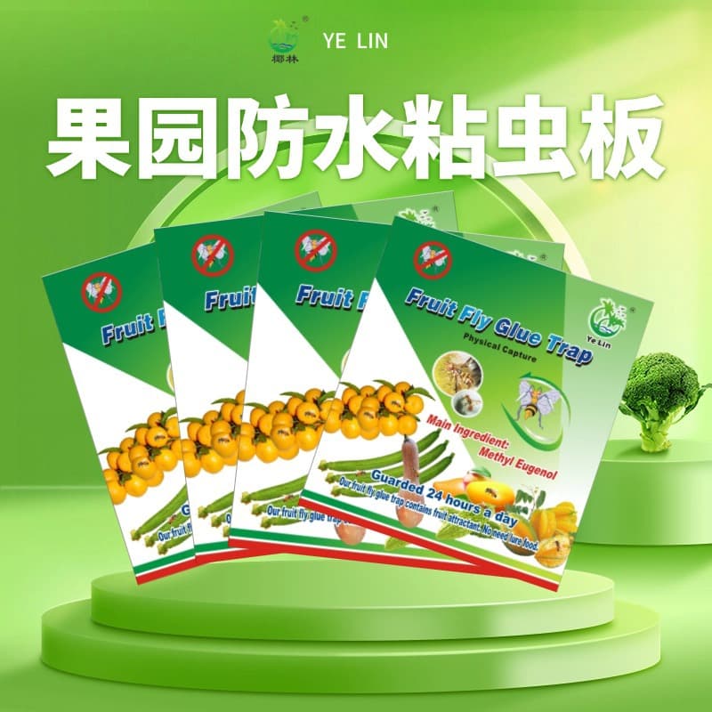 Guangdong Fruit Fly Sticky Trap Board Sticky Flying Insects Sticky Aphids Sticky Thrips Sticky Small Black Flying Insects Insect Trap Adhesive Board