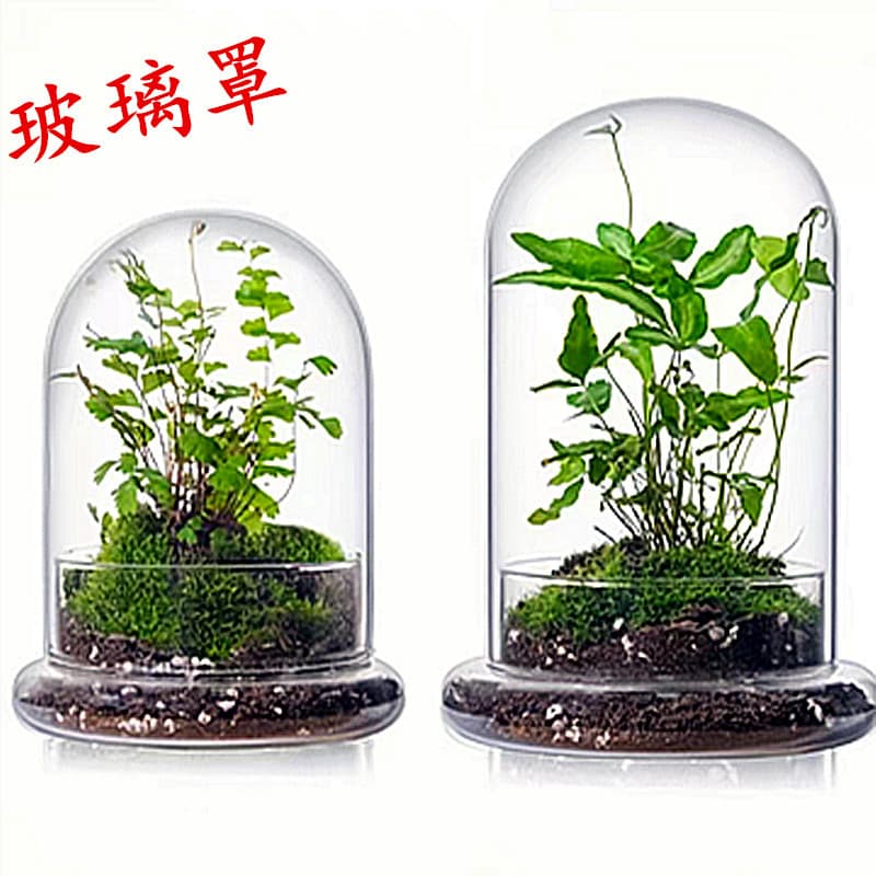 Mini Landscape Glass Dome Split Bottle, Eternal Flower Glass Dust Cover, Ecosystem Vase Moss Succulent Plant Terrarium