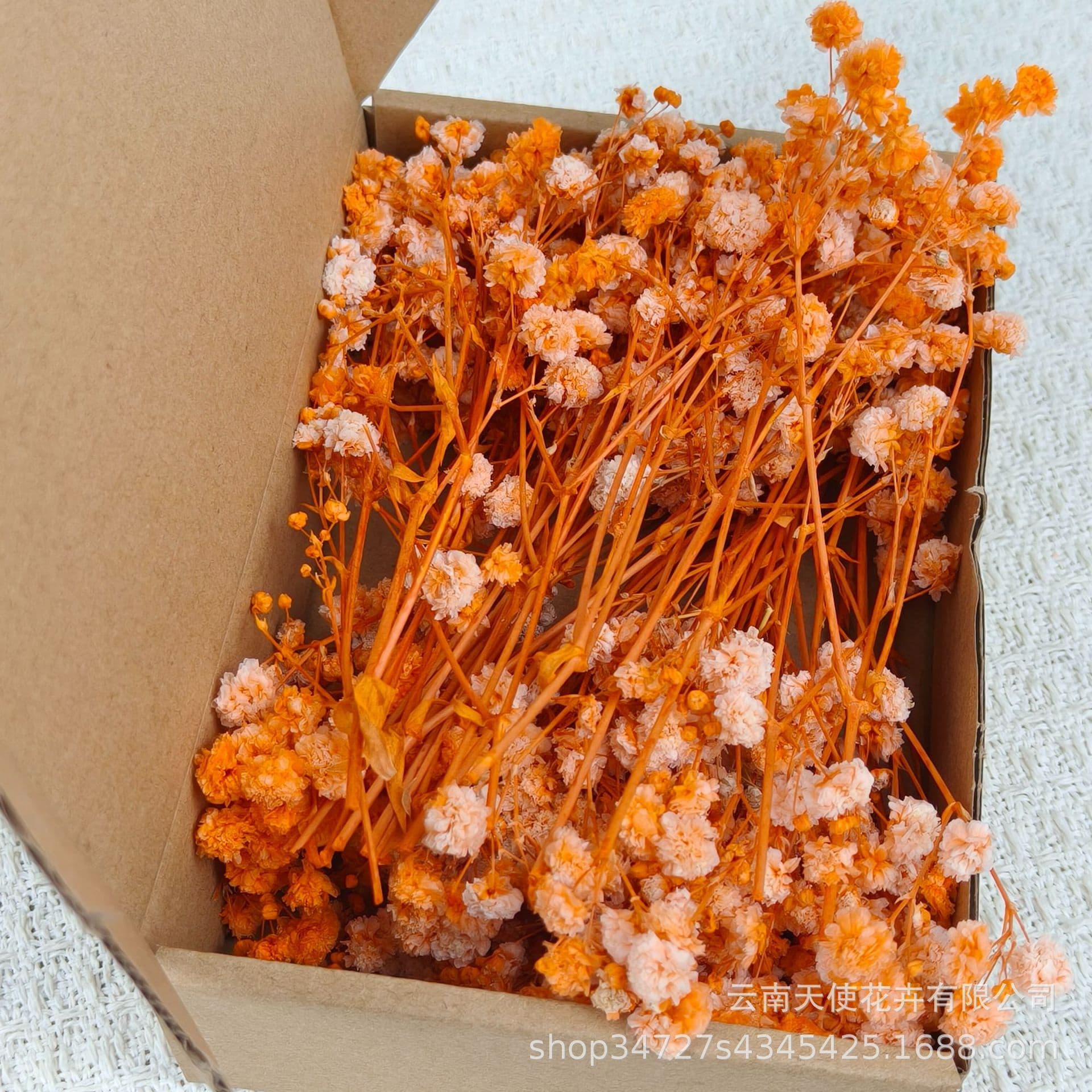 Cross-border Hot Selling Bulk Baby's Breath Green Stem White Dried Flowers Preserved Flowers Handmade DIY Flower Materials Yunnan Factory Direct