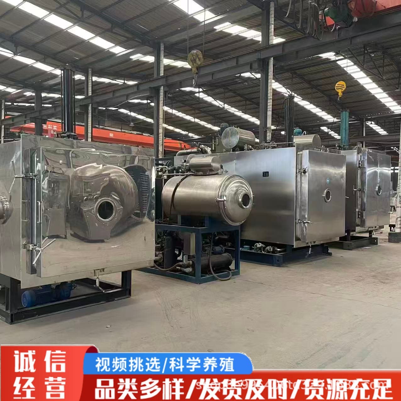Top Brand Manufacturer Vacuum Freeze Dryer Also Known as Freeze Dryer, Various Models, All in Excellent Condition