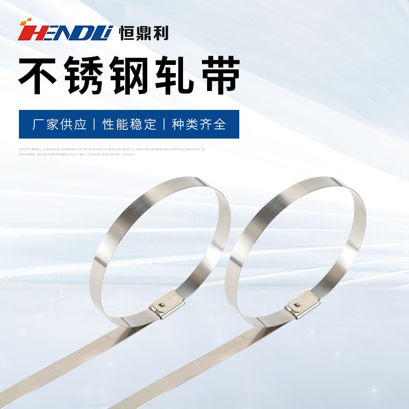 Wholesale 201 stainless steel marine self-locking cable ties for wire tray and outdoor use