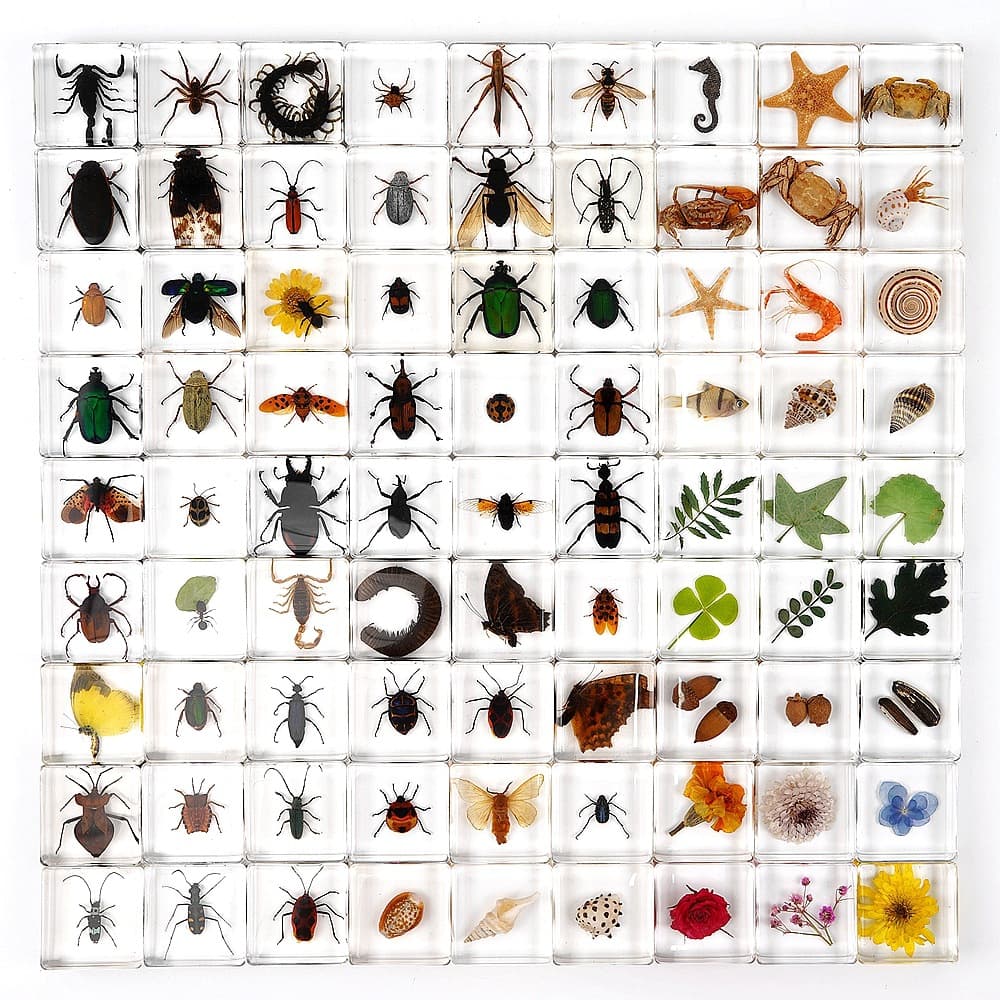 Custom real insect specimens from a reputable factory, designed as children's research toys, crystal drip resin ornaments featuring spiders and scorpions.