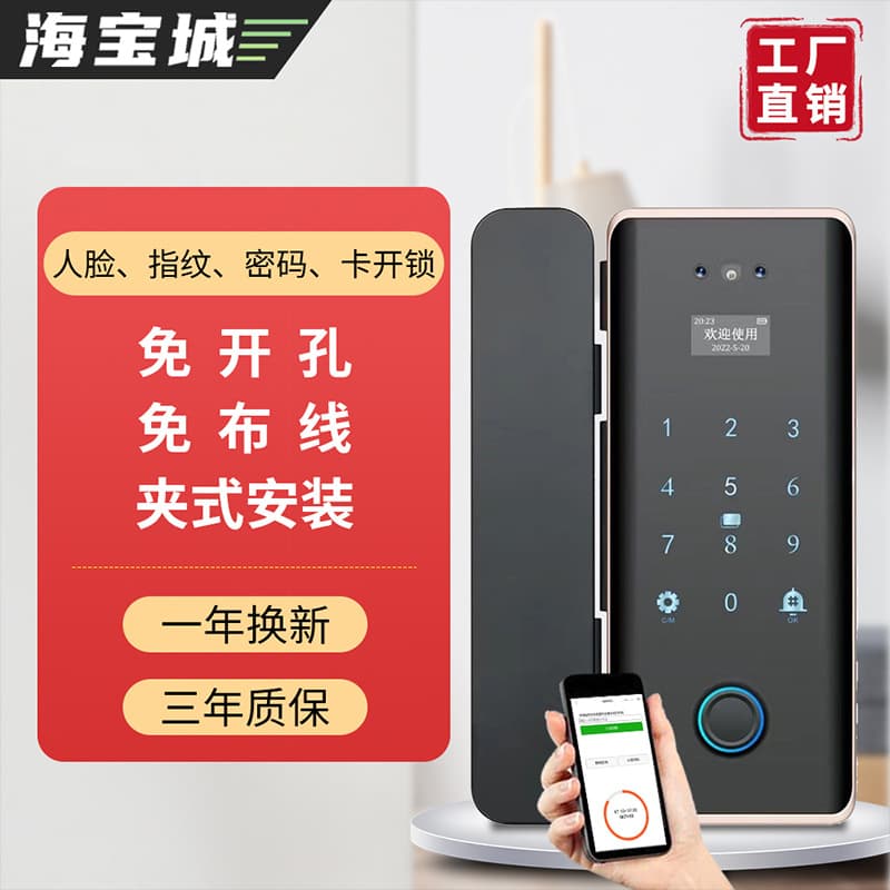 Haibaocheng 3D Face Recognition Smart Glass Door Lock, Metal Body, Double Hook Lock Tongue, Fingerprint Glass